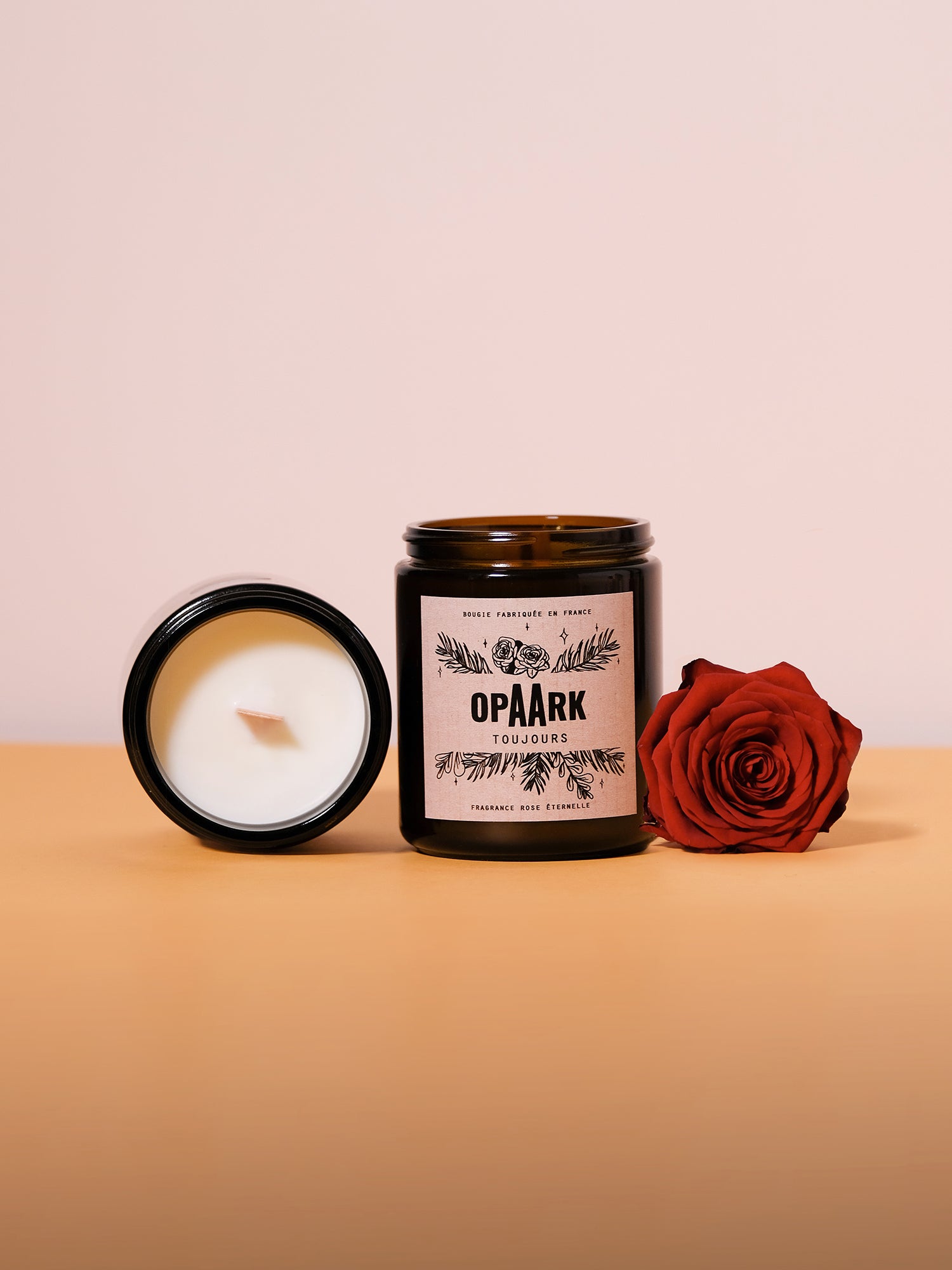 TOUJOURS - Rose éternelle
